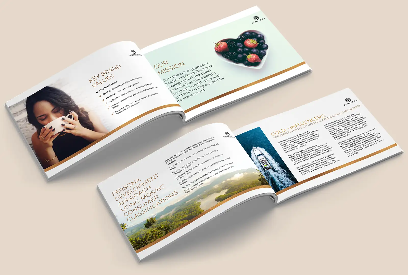 D'amazonia Case Study brochure